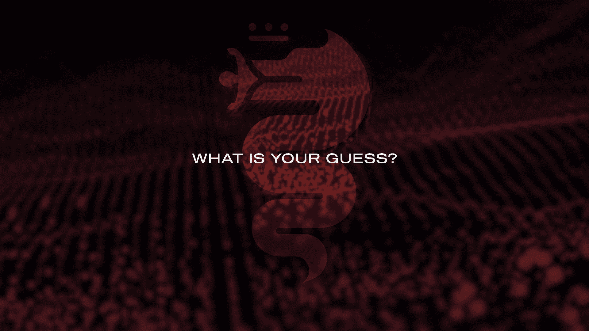 ‚Kid‘ auf der Überholspur: Alfa Romeo’s E-SUV sucht Namen