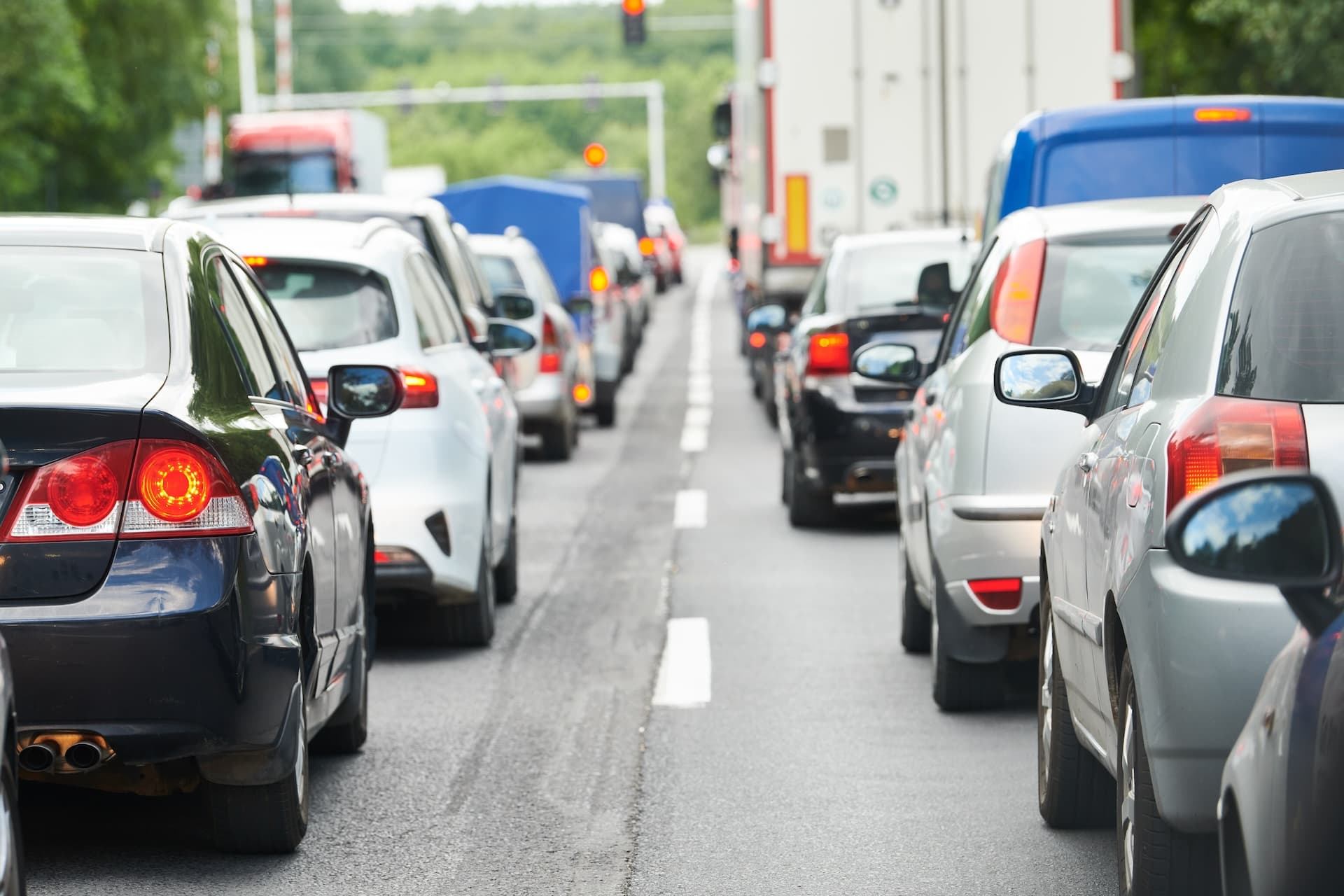 Vorständin der Klima-Allianz beklagt politische Widersprüche