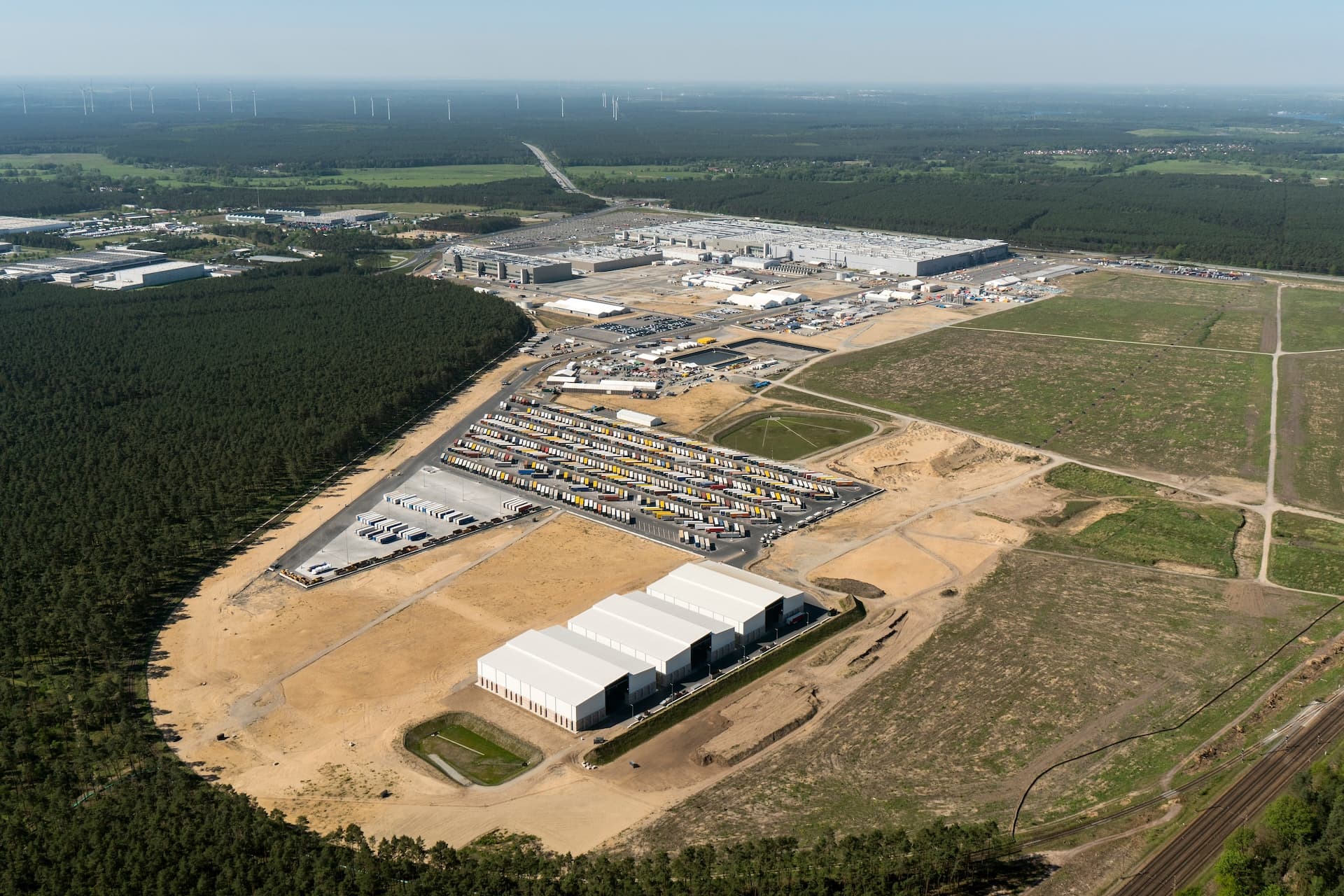 Für welchen „Wald“ kämpfen Grünheides Tesla-Gegner überhaupt?