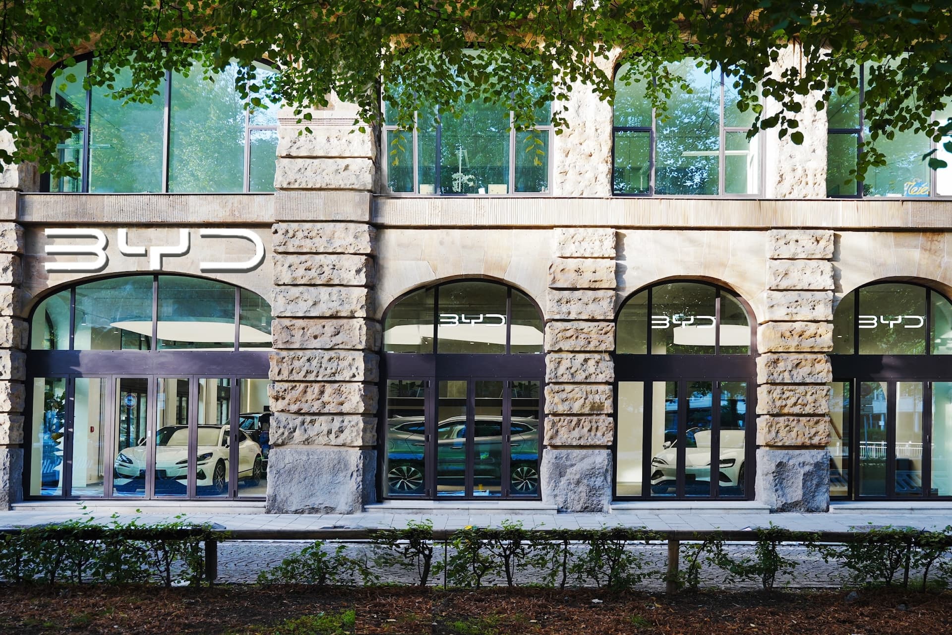 BYD Deutschland: Kritik an Händlerverträgen