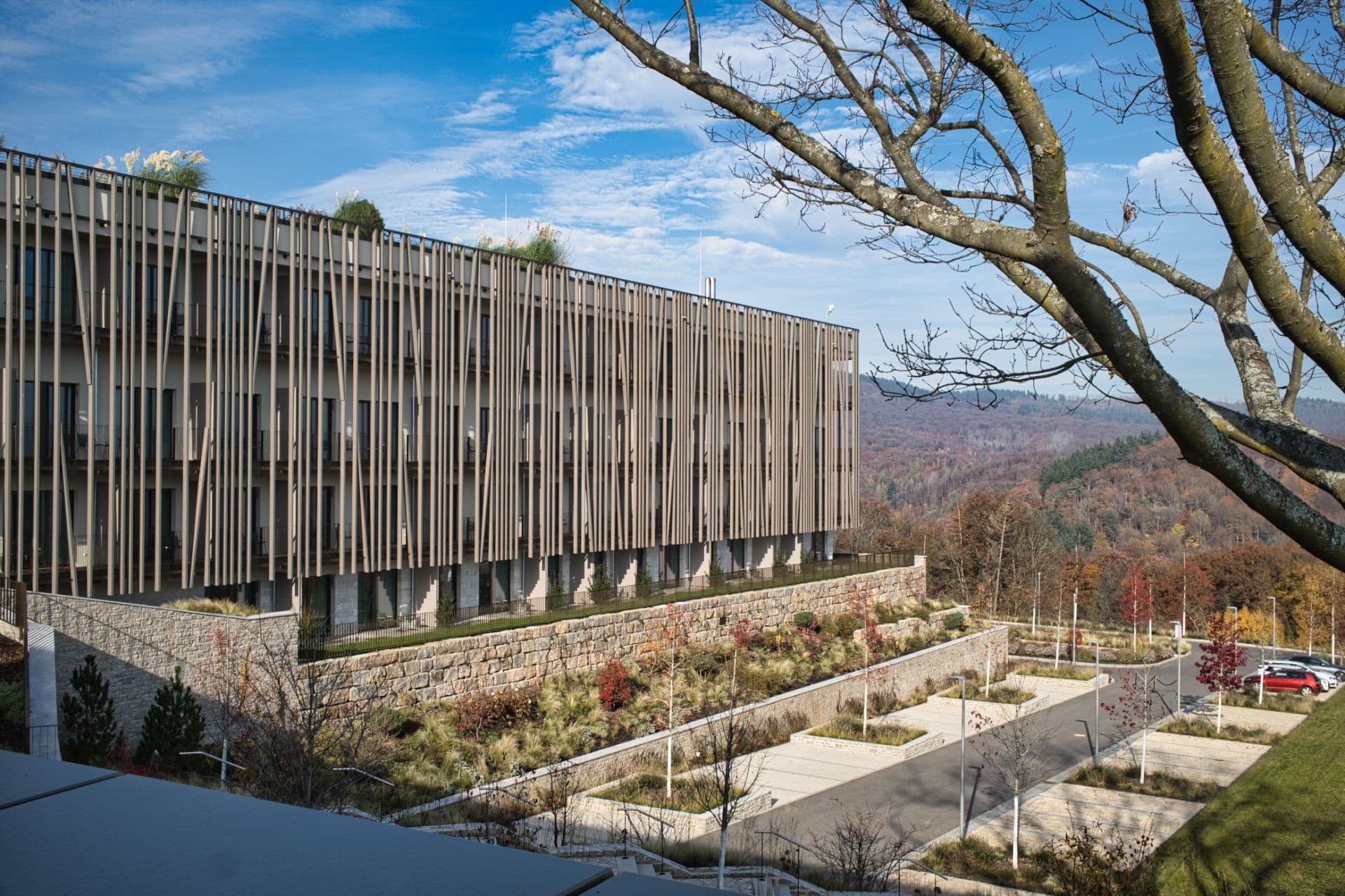 Wald.Weit im Rheingau: Ankommen, laden, abschalten