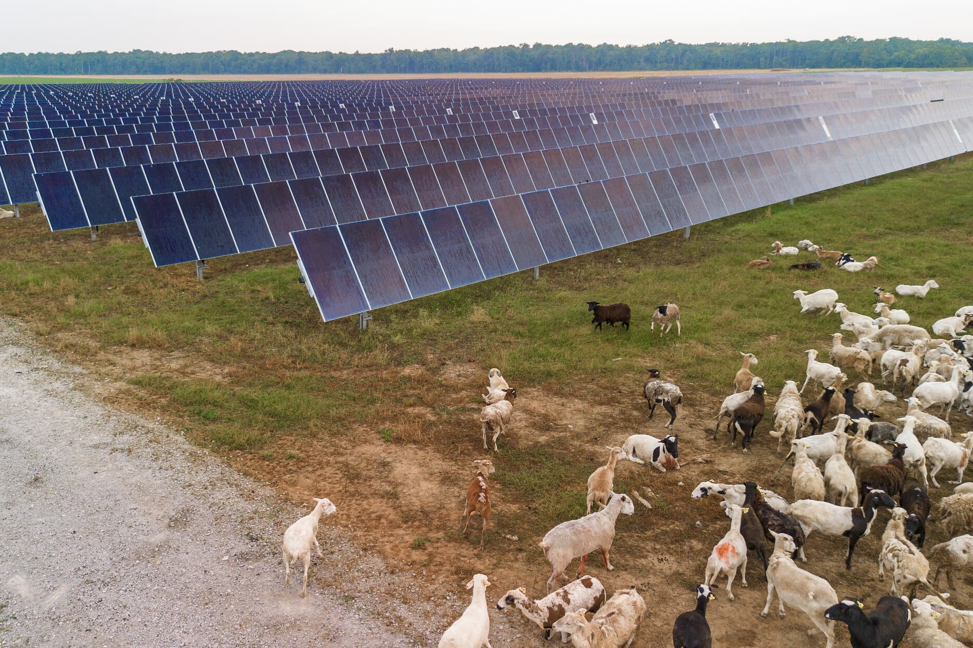 General Motors setzt in den USA auf 100 Prozent Erneuerbare